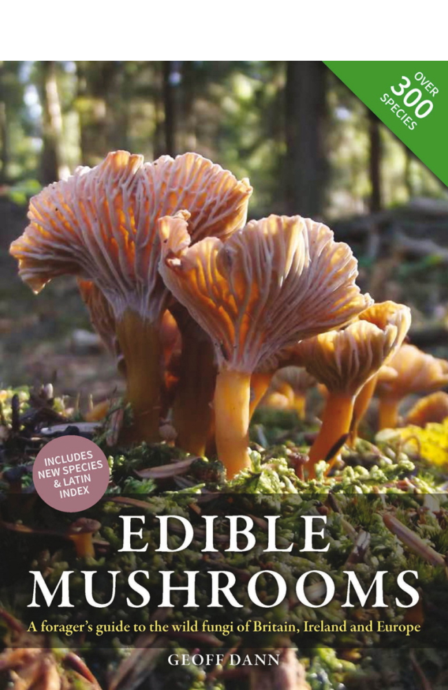 Book cover featuring mushrooms in a mossy forest landscape